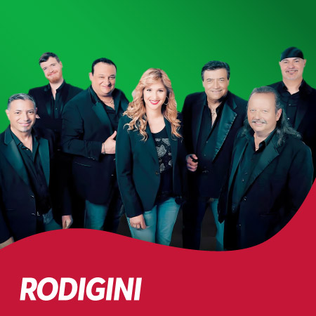 I Rodigini